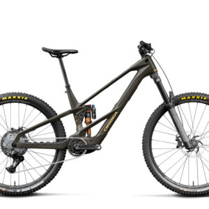 Orbea Wild LT M20
