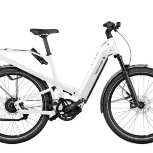 Riese & Muller Homage4 GT Vario