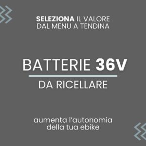 Batteria da 36V a Ioni di litio da ricellare per bici elettrica