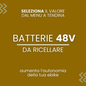 Batteria da 48V a Ioni di litio da ricellare per bici elettrica