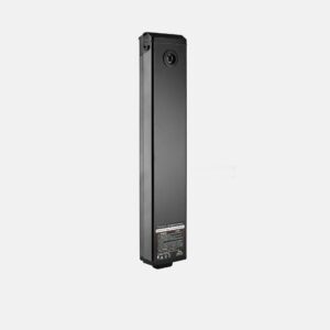 Batteria P20