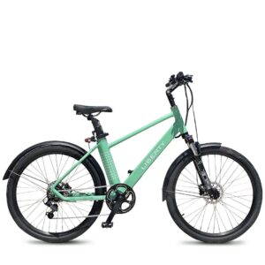 Bici Elettrica 27,5" City Bike Liberty X 250W 36V fino ad 80Km!