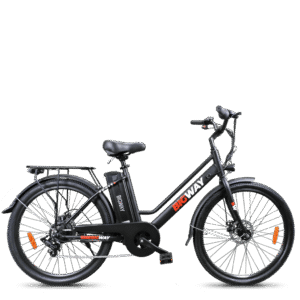 Bici elettrica City Bike Bigway v1.0 250W 36V