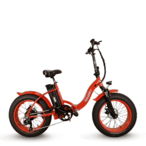 Bici elettrica Fat Bike POMPEII v1.0 250W 48V