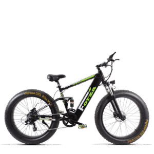 Bici elettrica Mountain Bike Forza v2.3 250W 36V - DME elettrica-bike.it