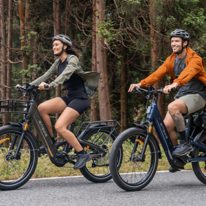 Bicicletta elettrica stile ciclomotore in vendita | ENGWE Collezione di biciclette elettriche