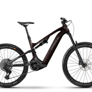 Haibike ALLMTN CF 9 2025