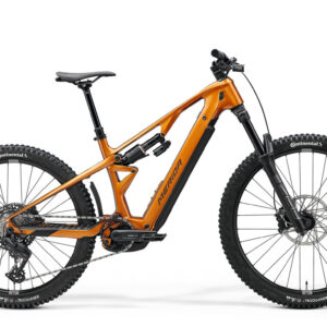 Merida LITHOS 6000 WILD