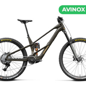 Orbea Wild LT M20