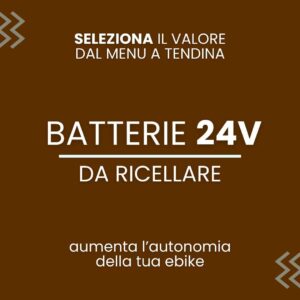Ricellaggio batteria da 24V a Ioni di litio per bici elettrica o monopattino