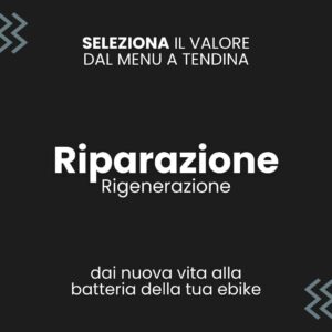 Riparazione e rigenerazione Batteria da 24V 36V 48V