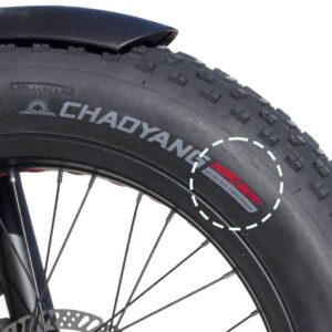 Tyre Pneumatico Copertone CHAOYANG 20"x4.0 HiPPO SKIN anti foratura punctures nero FAT bike ebike