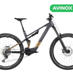Whistle AXR C6.6